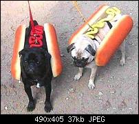 Нажмите на изображение для увеличения
Название: Hotdog0.jpg
Просмотров: 26
Размер:	36.7 Кб
ID:	41976