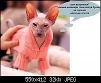 Нажмите на изображение для увеличения
Название: cat_fun05.jpg
Просмотров: 74
Размер:	31.9 Кб
ID:	8435
