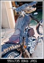 Нажмите на изображение для увеличения
Название: krokodile_bike03.jpg
Просмотров: 39
Размер:	88.6 Кб
ID:	9181
